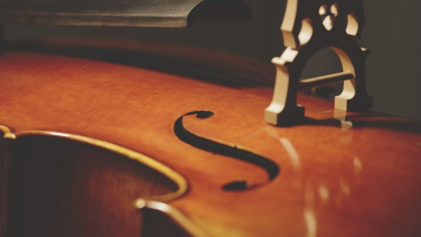 Luthier Vidal