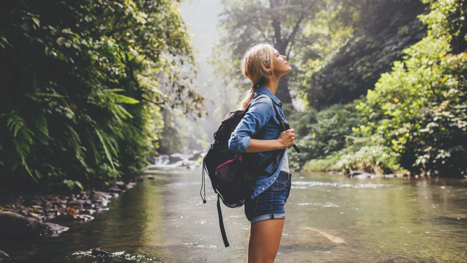 Amigo Travel