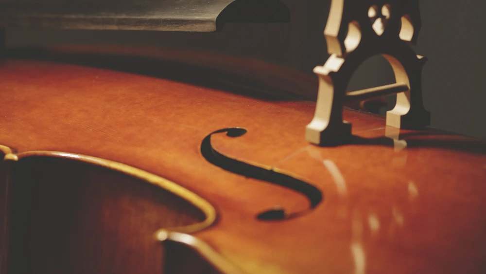 Imagen de Luthier Vidal