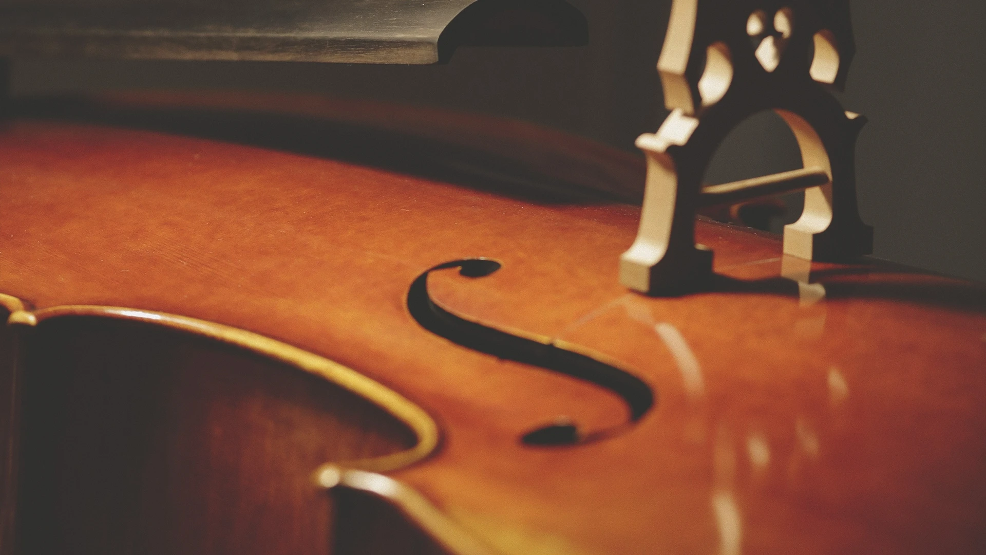 Luthier Vidal